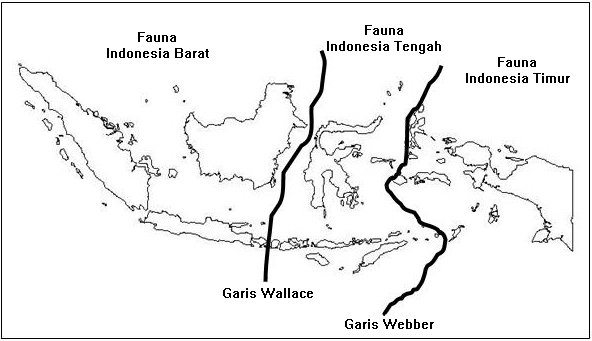 Gambar Wilayah Persebaran Fauna di Indonesia