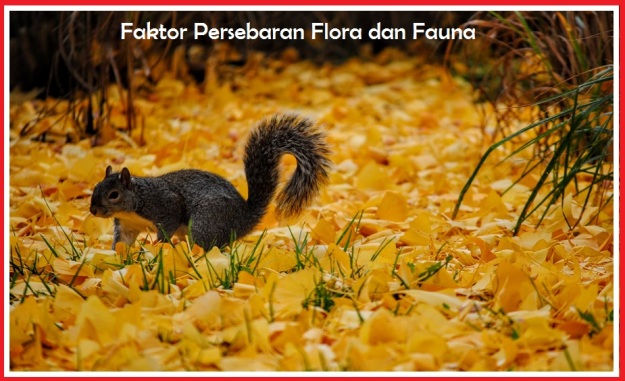 Faktor Persebaran Flora dan Fauna
