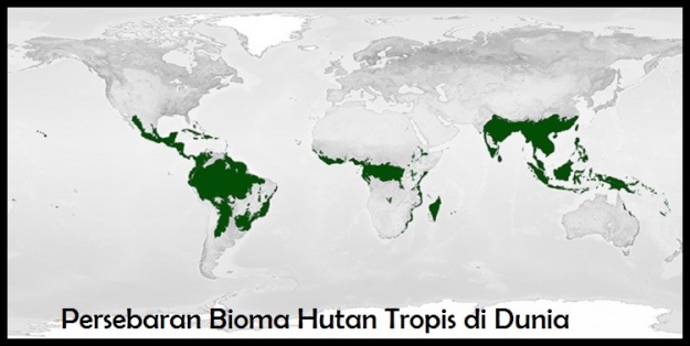 Peta persebaran Bioma Hutan Tropis
